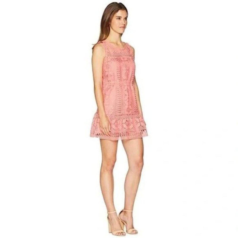 NWT BB Dakota Dresses Bb Dakota Sandra Sugar Coral Lace Dress small